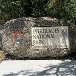 Everglades