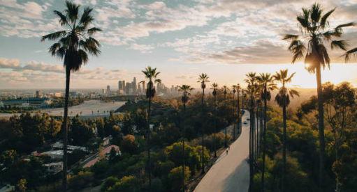 The Wedding Website of Huma Ali Shah and Parth Shah