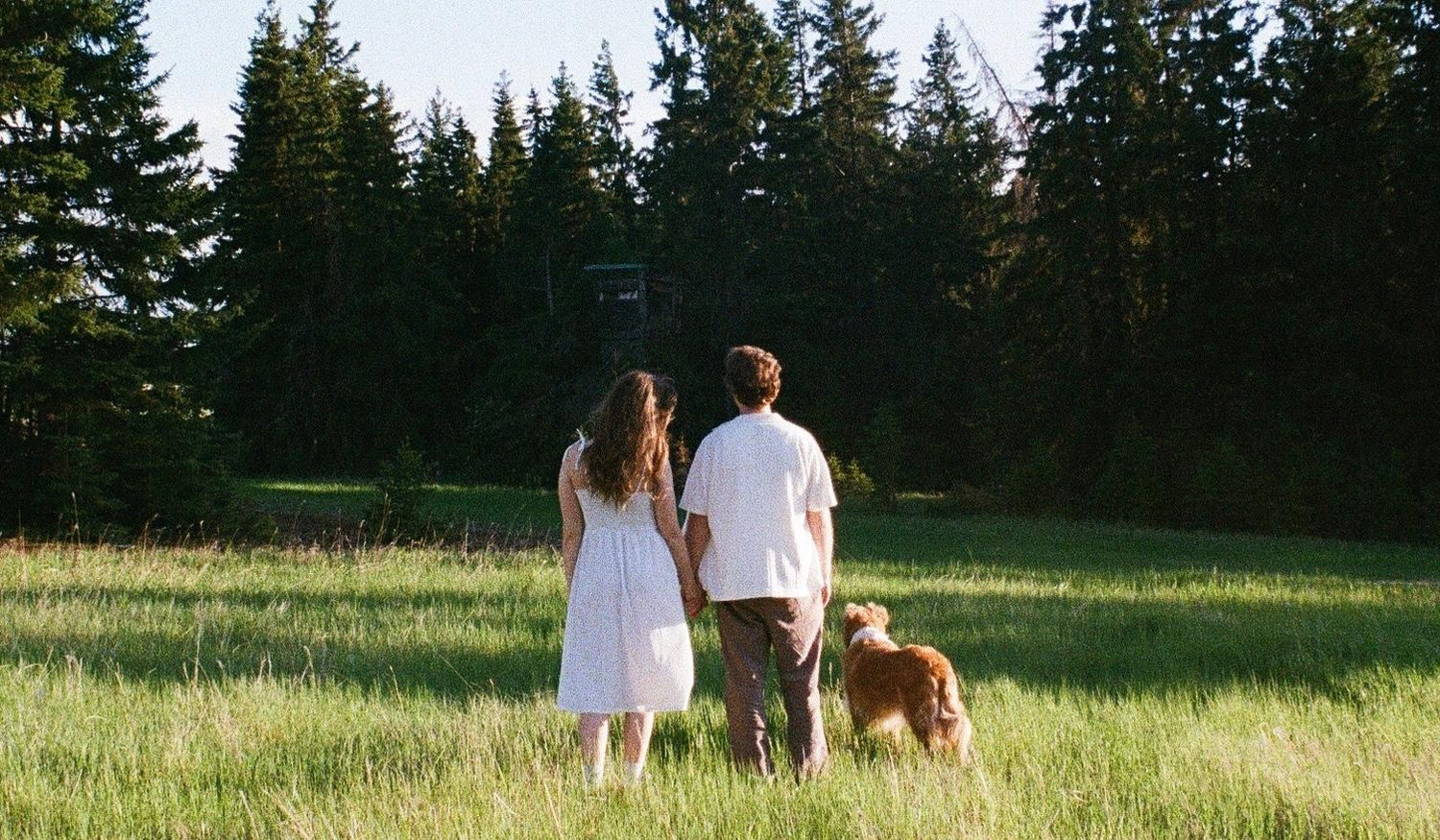Footer image