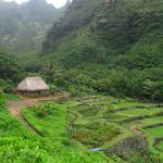 Limahuli Garden & Preserve, National Tropical Botanical Garden