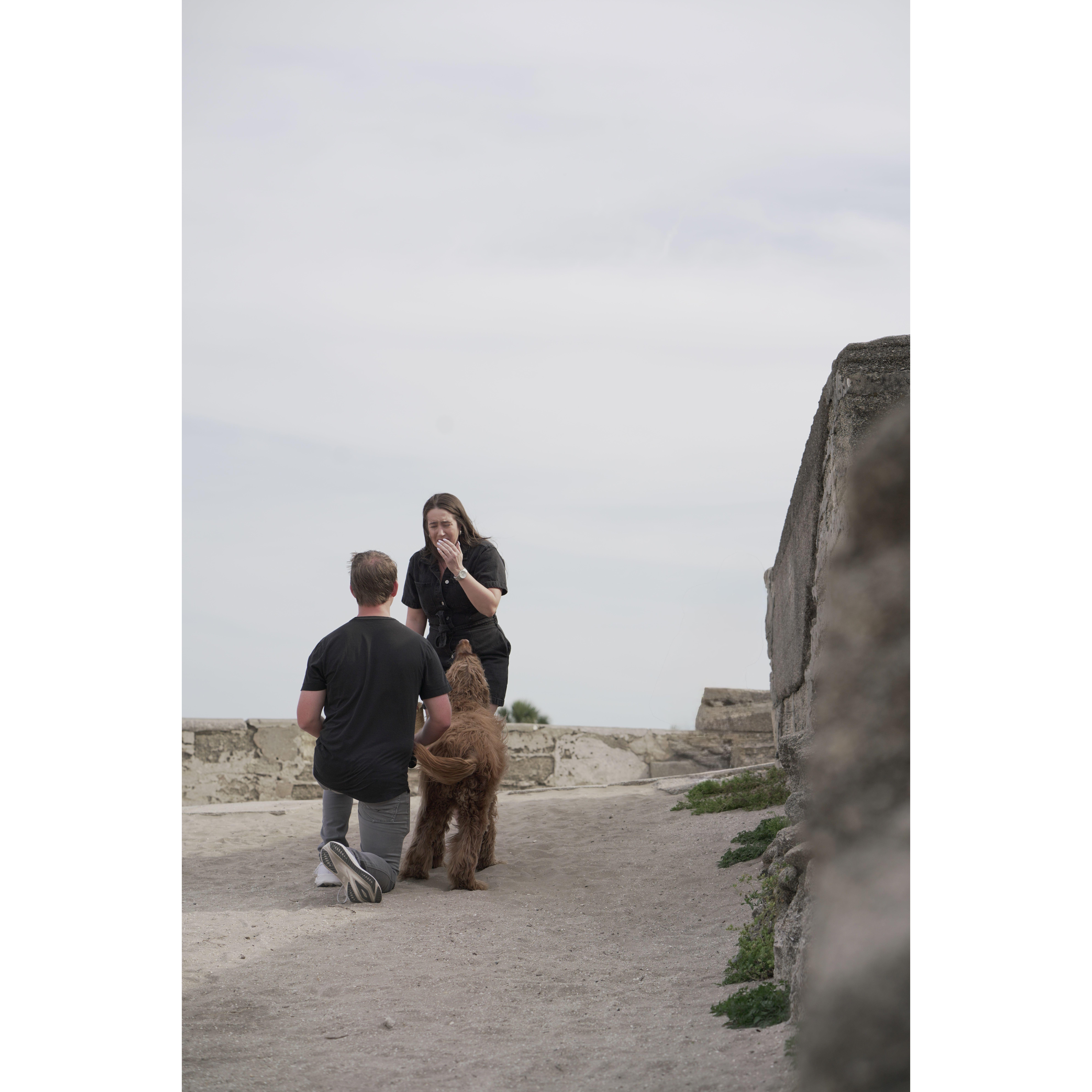 Sidney planned the perfect proposal on Easter Monday. Can you tell Stefanie was surprised?
