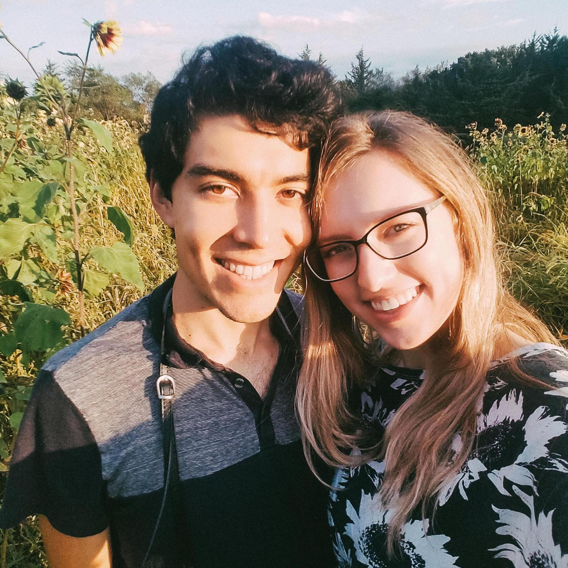 Sunflower Fields Forever 🌻