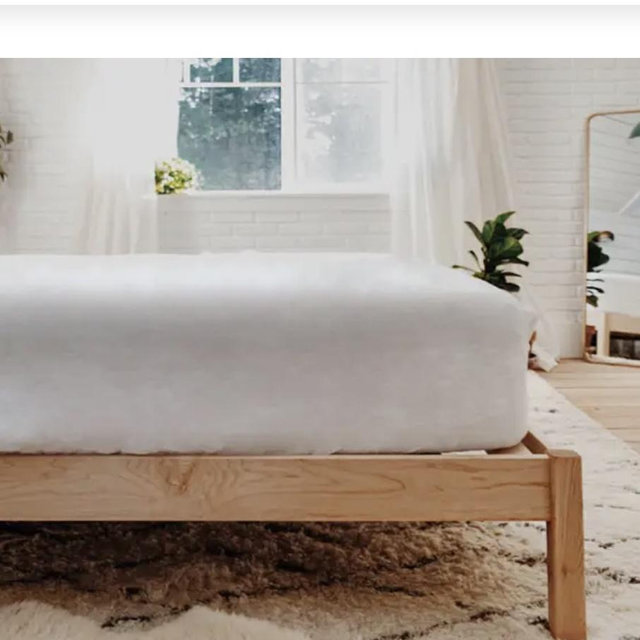 The Futon Shop / Wool Bed matress for future home
