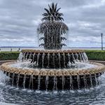 Pineapple Fountain
