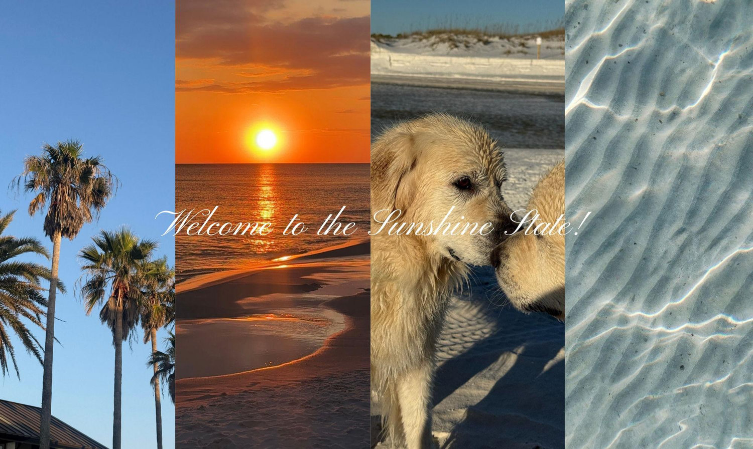 The Wedding Website of Dylan Surber and Sam Harvey