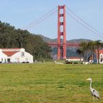 Crissy Field