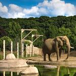 Cleveland Metroparks Zoo