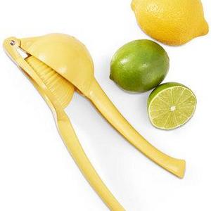 Citrus Press, Created for Macy's