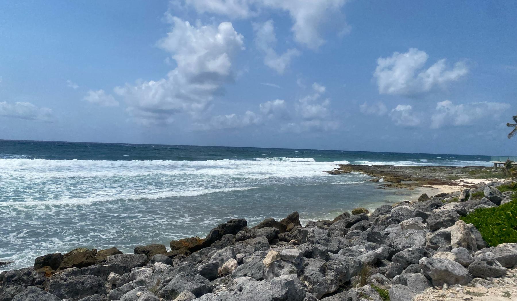 The Wedding Website of Taylor Thames and Freddie Fountain