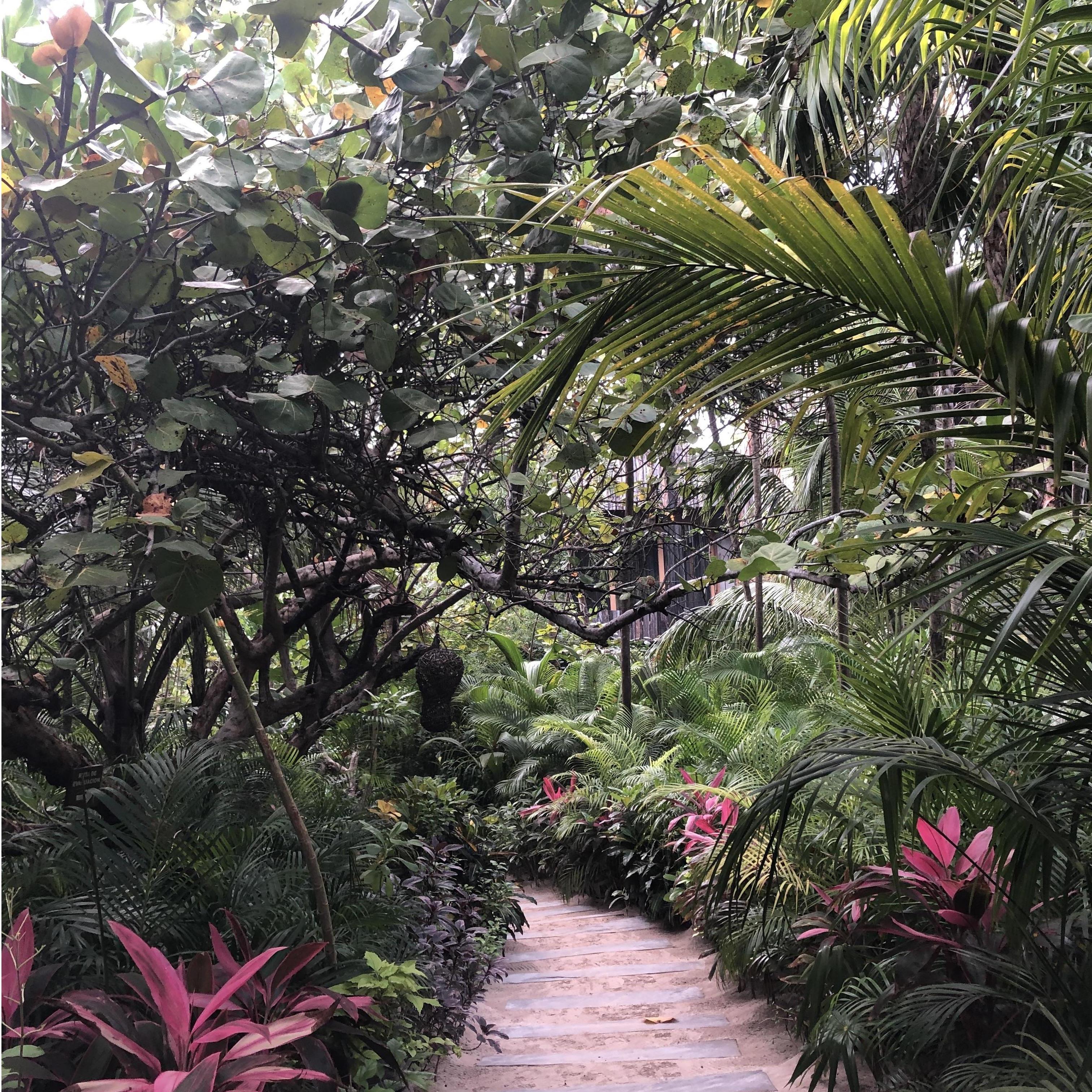 Path through Be Tulum