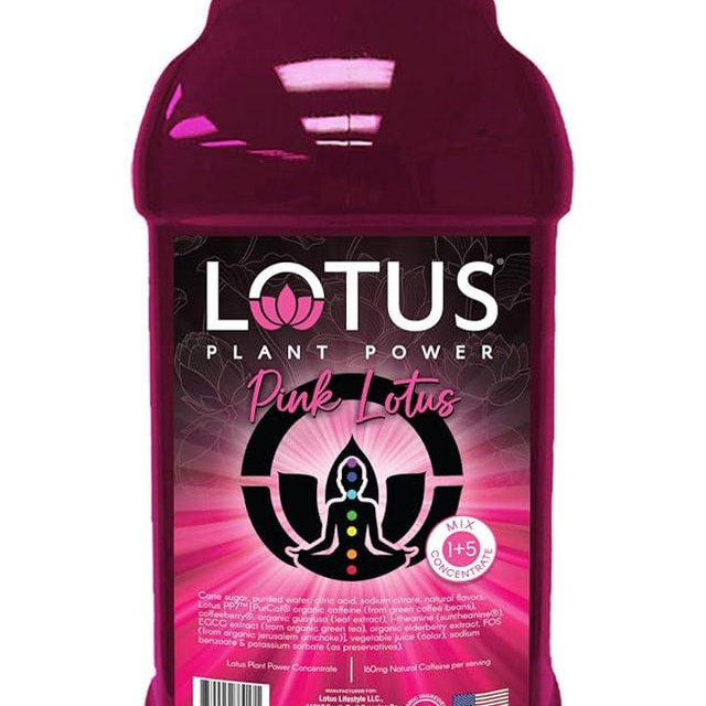 Pink Lotus Plant Energy Drink Concentrate | Pure Cane Sugar | 64 fl oz | 1:5 | Natural Caffeine from Green Coffee Bean