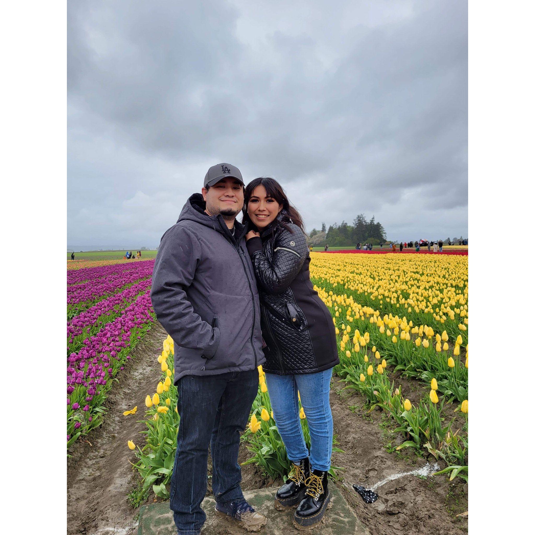 Tulip Festival 2021