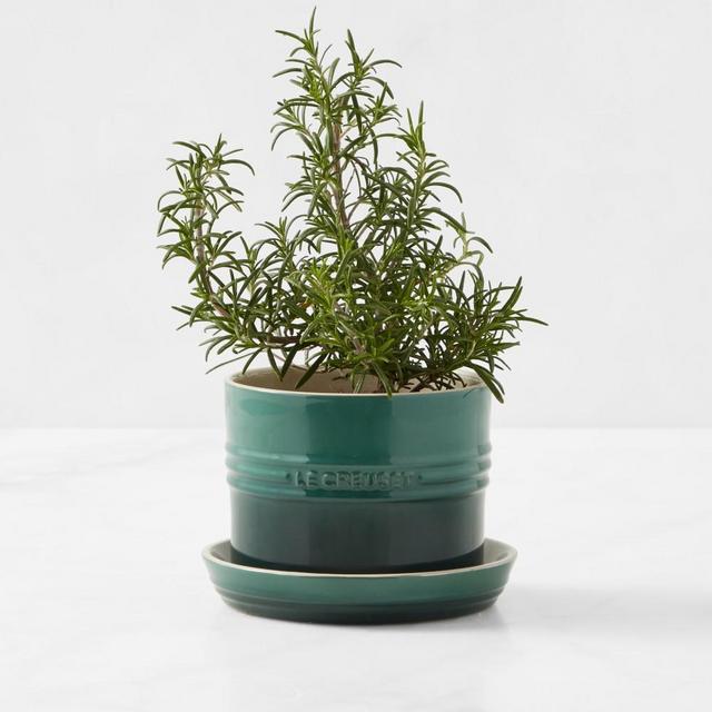 Le Creuset Herb Planter with Tray, Artichaut