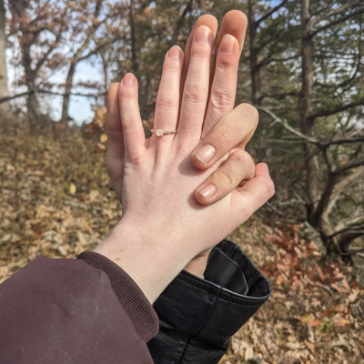 The proposal, November 2023
