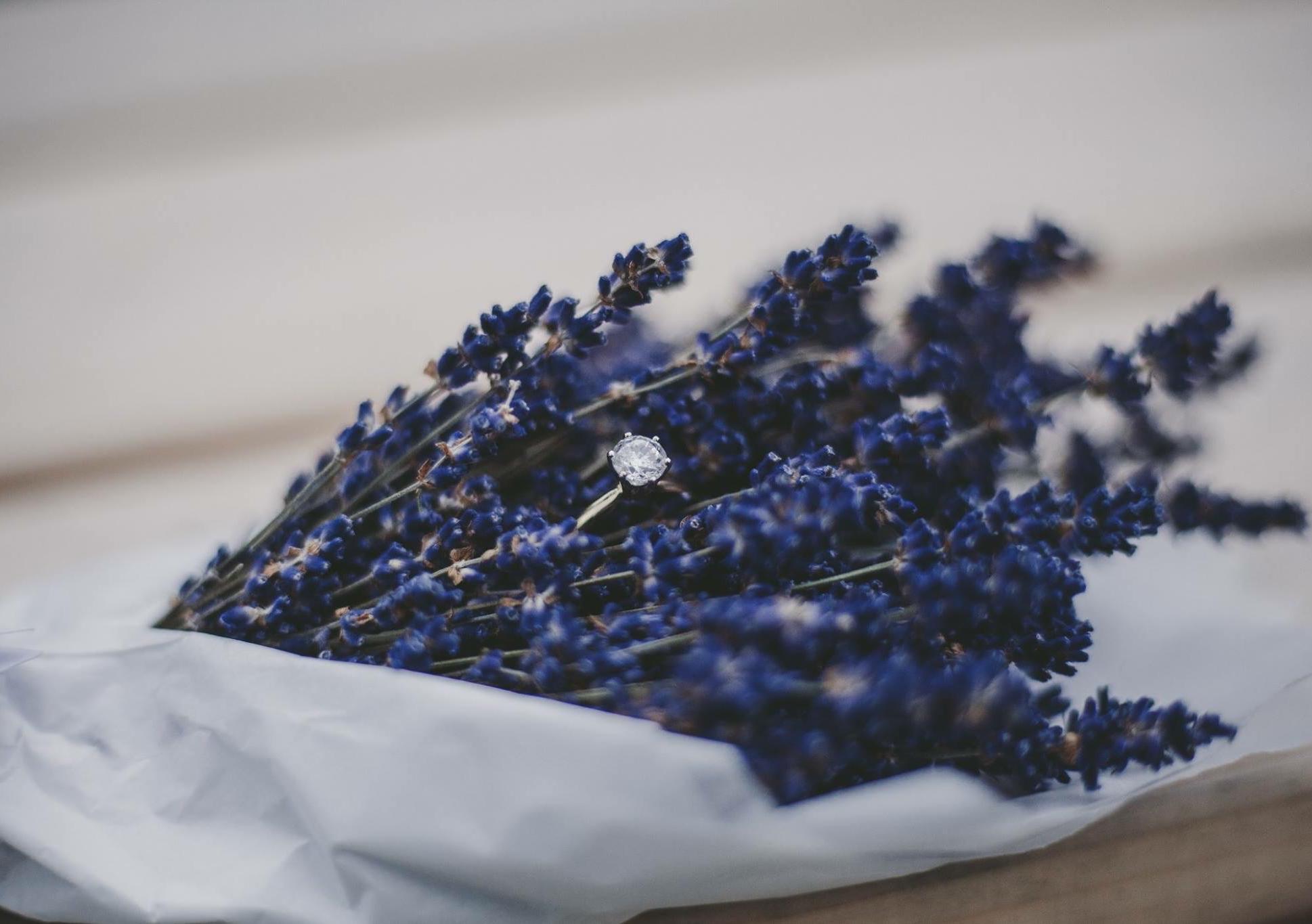 The Wedding Website of Ashley Kitchin and Craig Reazor