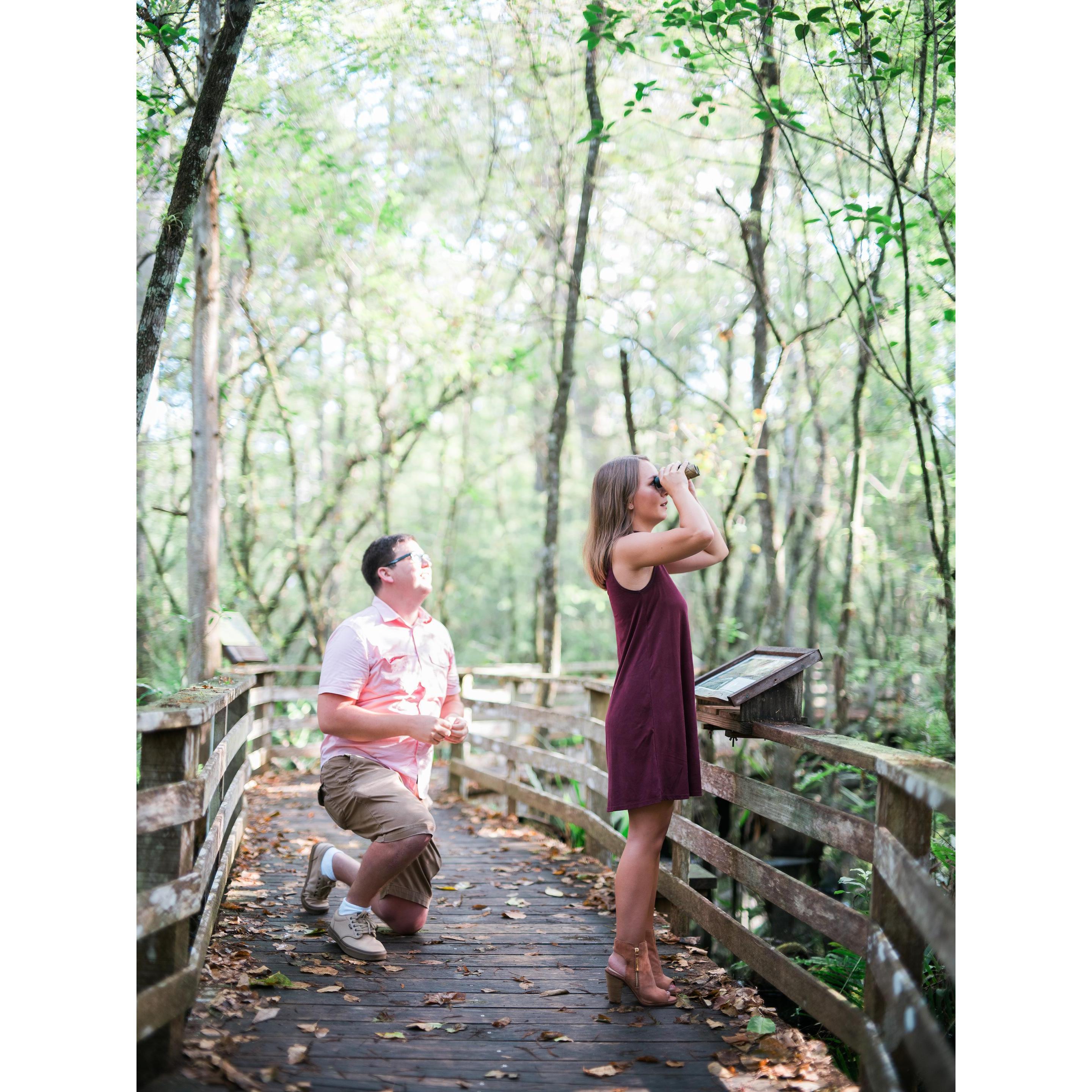 Trevor down on one knee, tricking me into looking for a hidden flower