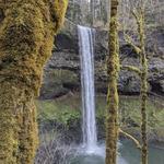 Silver Falls State Park