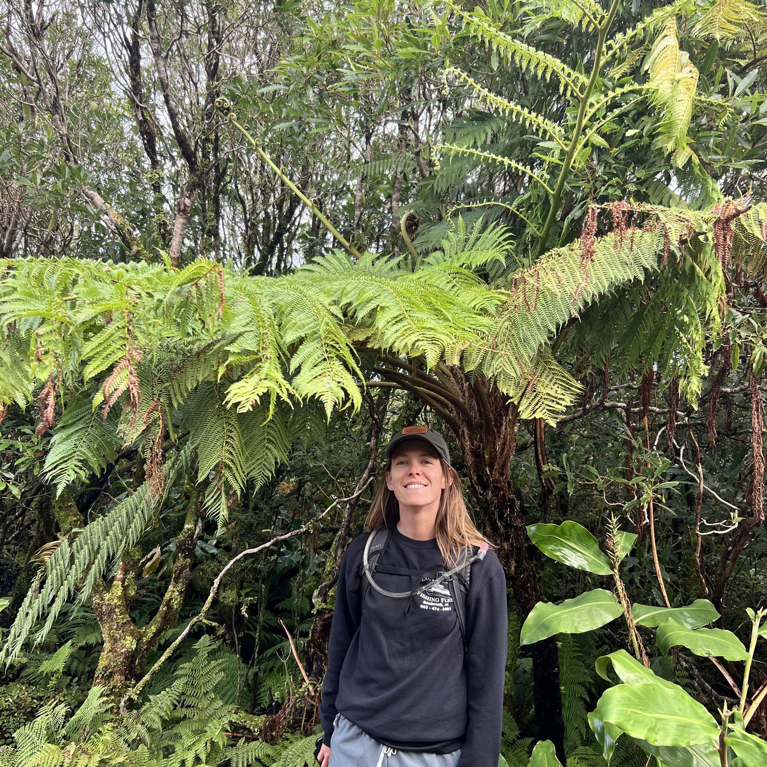 Giant fern plant in Terceira.
