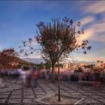 Plaza de San Nicolás