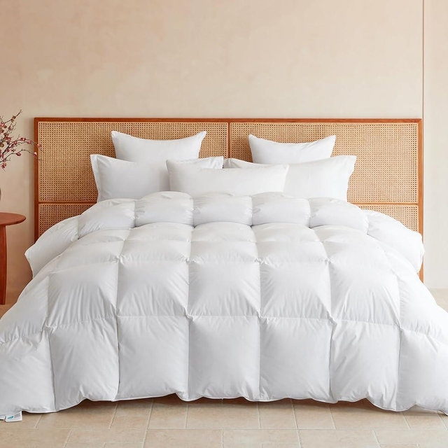 LeWinBedding Goose Feather Down Fiber Comforter Palatial King Size, All Season Duvet Insert, 750+FP Hotel Bed Comforter, Ultra Soft 100% Organic Cotton Fabric, 120x98 Inches