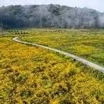The Parklands of Floyds Fork