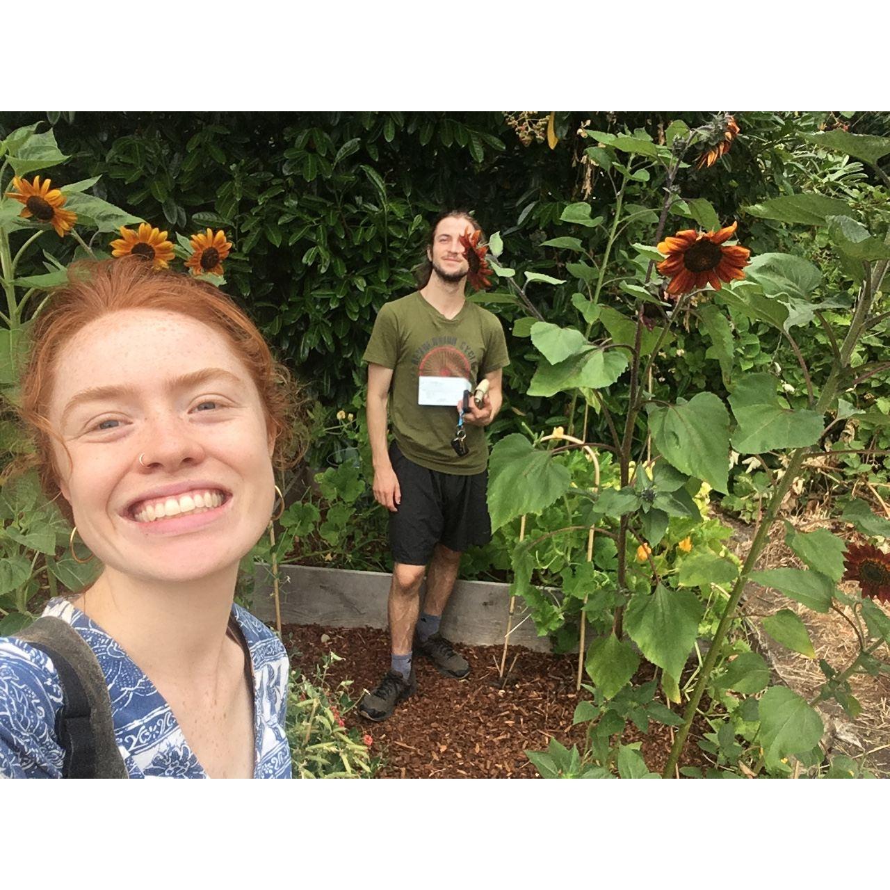 Summer 2021 garden pic <3