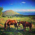 Triple L Ranch Private Custom Horseback Rides