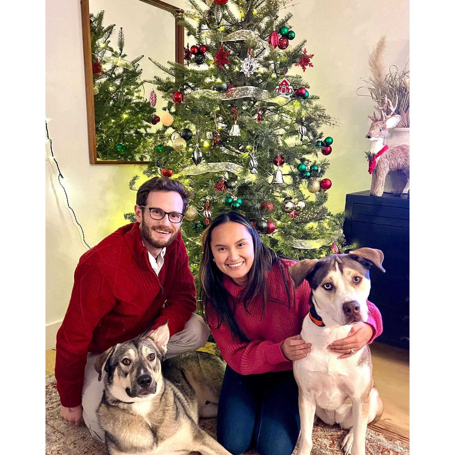 This is our first Christmas as a family of 4! Meet Rocco on the left and Nina on the right!