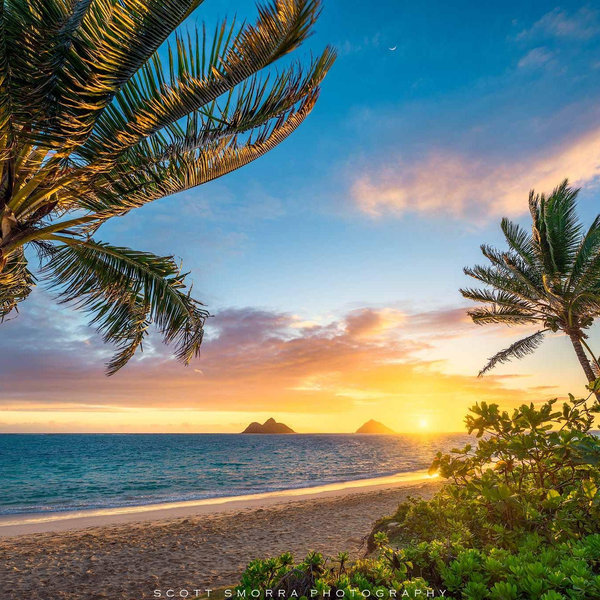 HONEYMOON IN HAWAII