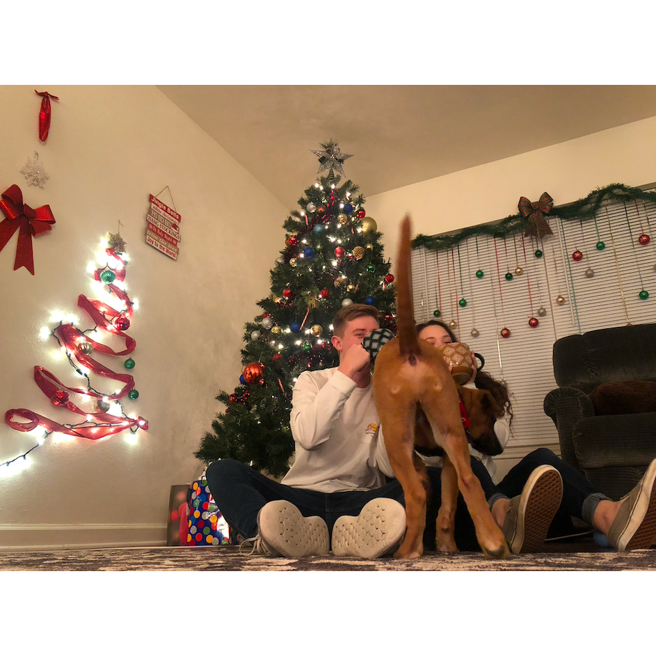 Our first Christmas photoshoot, Featuring Oliver's butt. He's such a stinker!