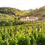Wine regions