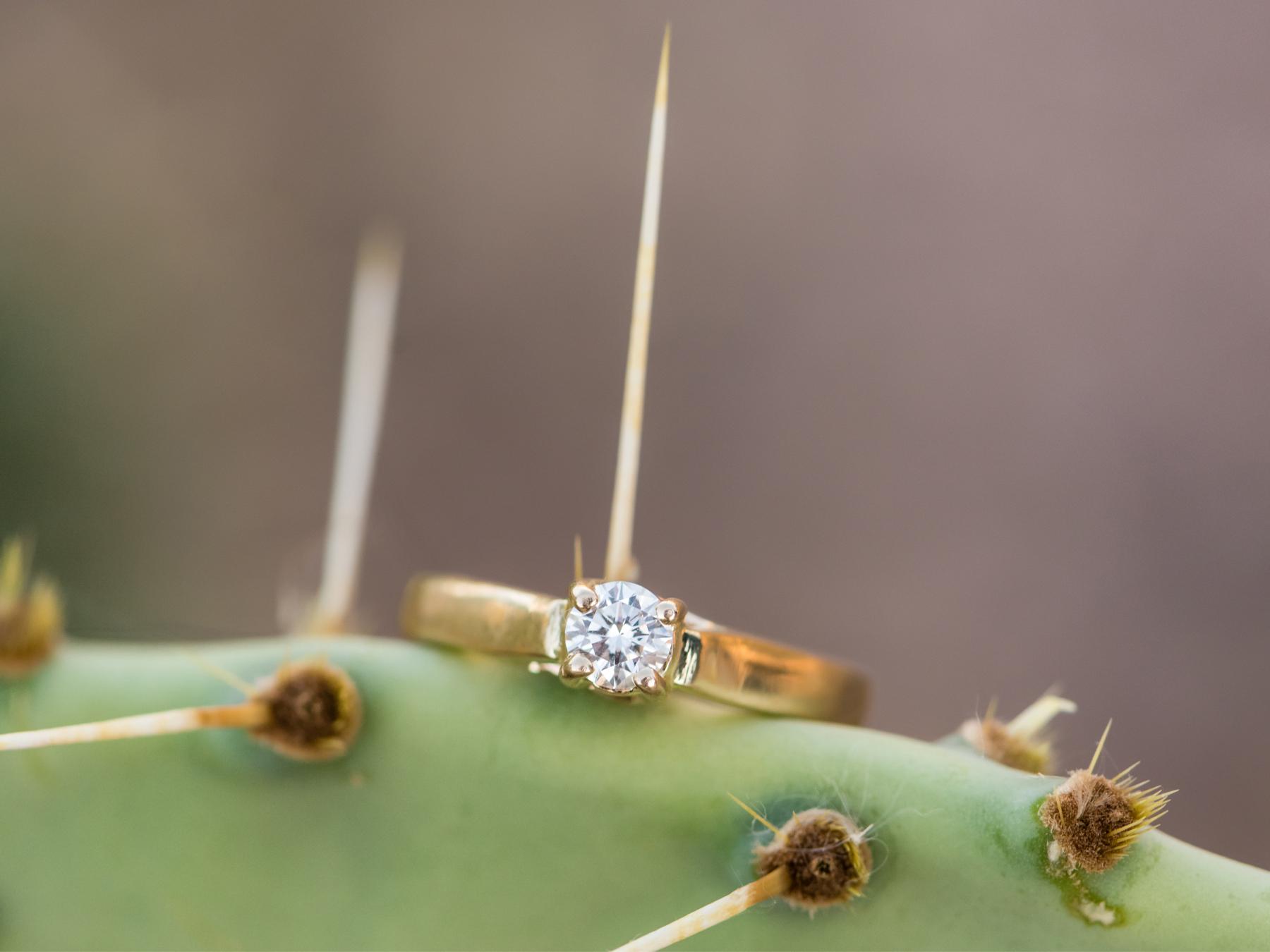 The Wedding Website of Cari Hobbs and Sean Yoho