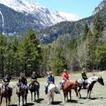 Horseback Riding at Princeton Stables