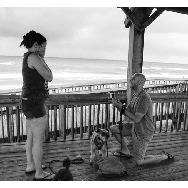2023
Dogs don't make the best proposal photo props. They wander off during the most important parts.
