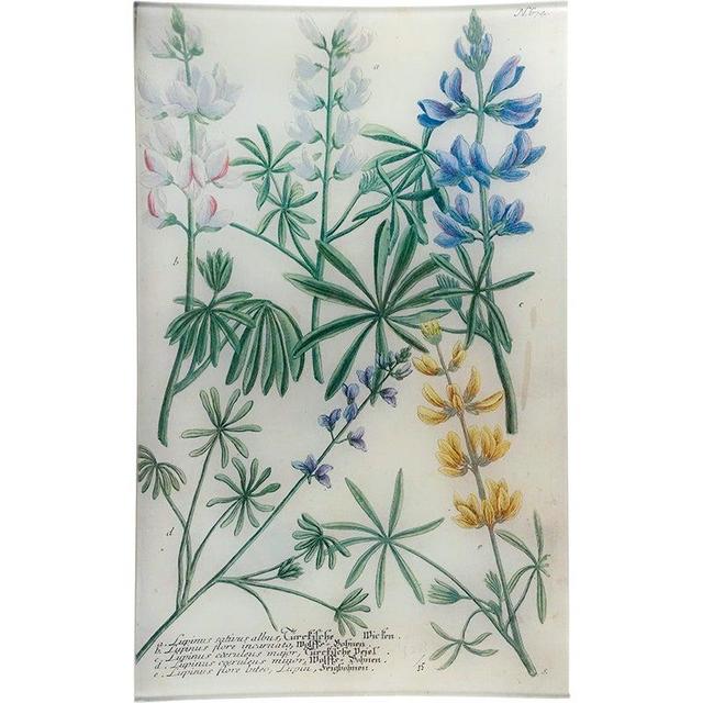 John Derian N. 674 Lupine Tray