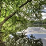 McLean Game Refuge