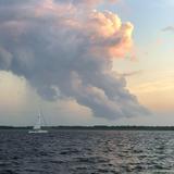 Harbor Cruise