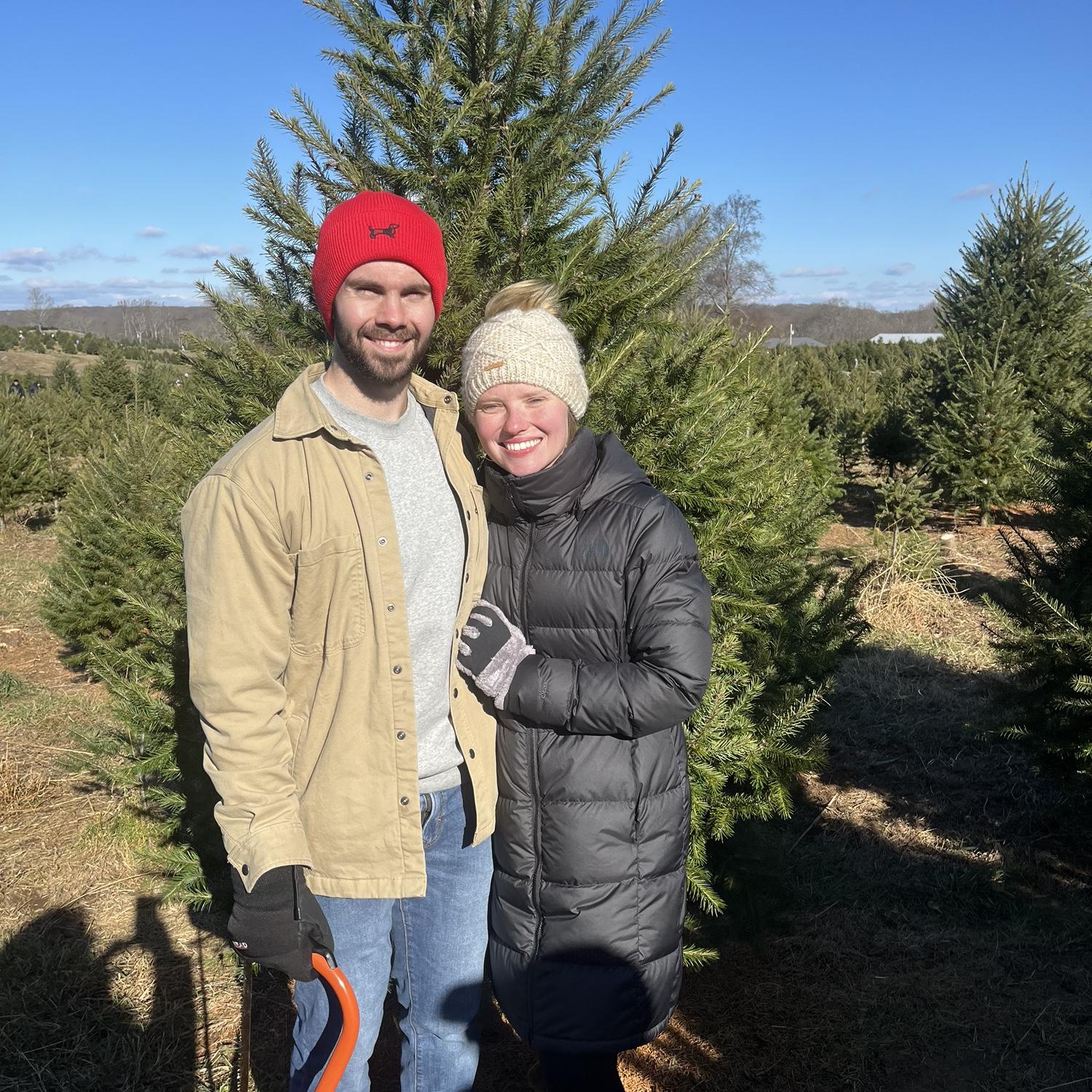 Tree cutting!