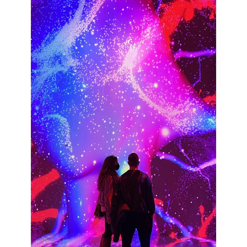 Artechouse- Washington D.C.
