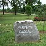 Harvey's Garden