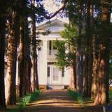 Visit Rowan Oak