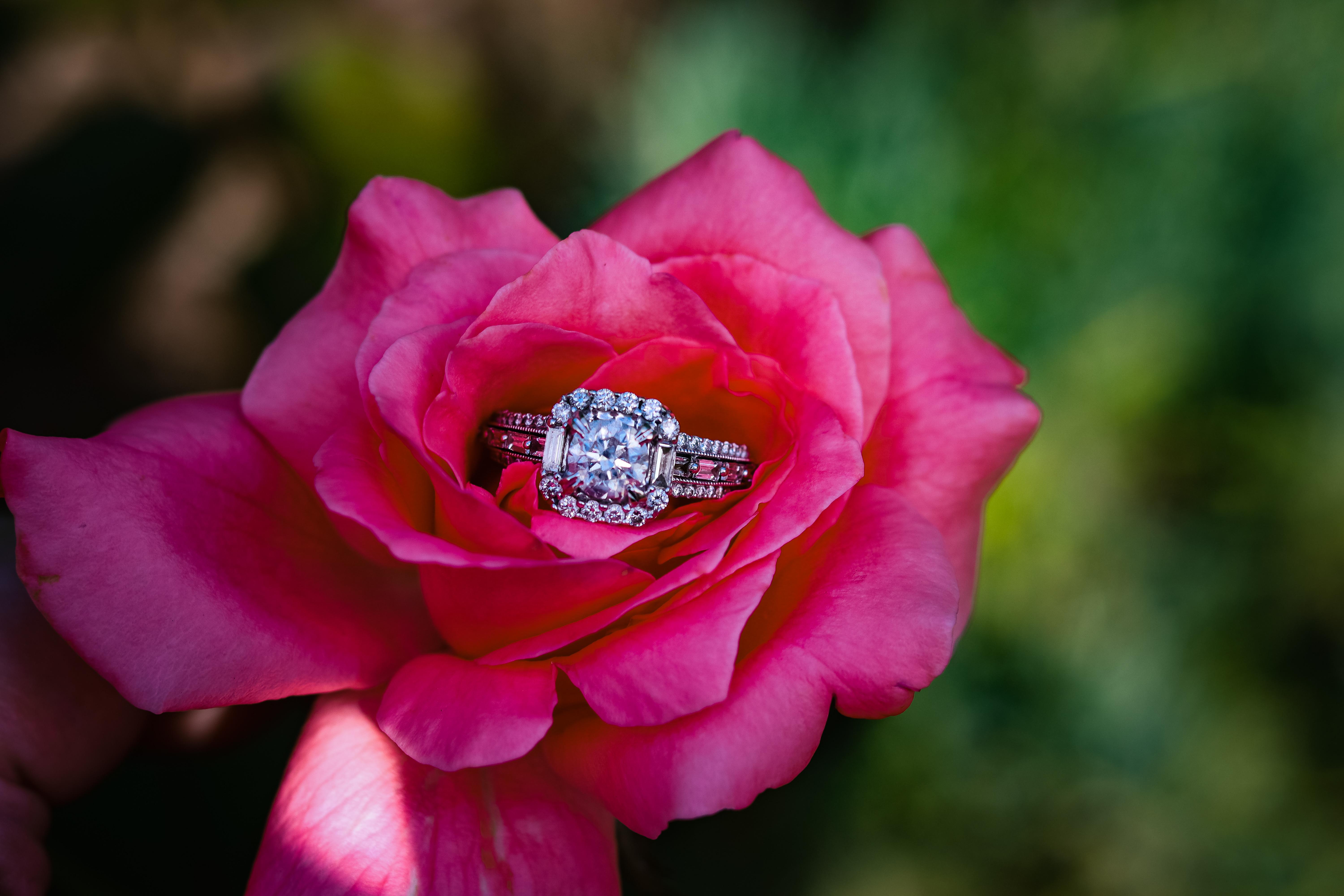 The Wedding Website of Nikita Crawford and Mark Marcucio