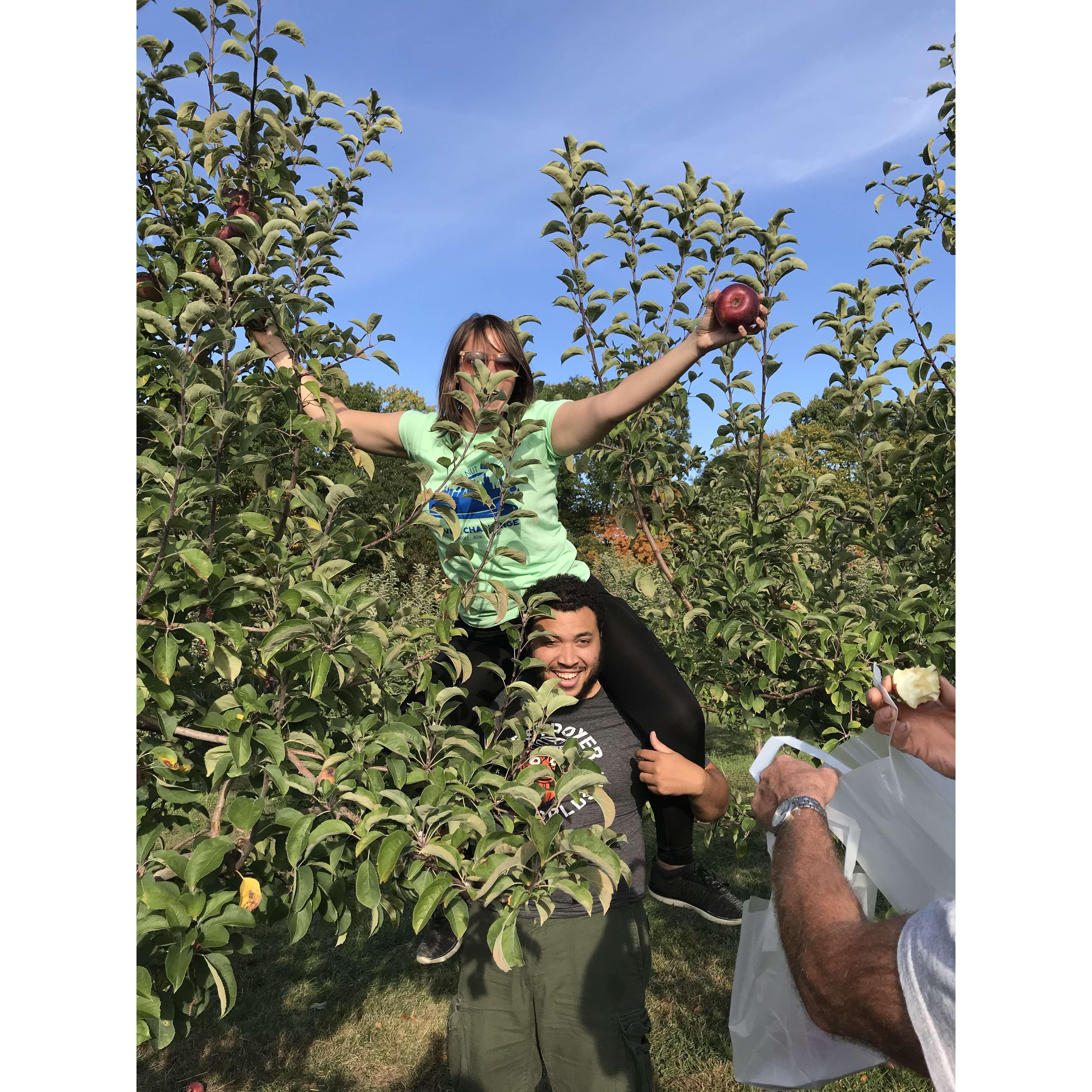 Apple picking in CT, 2019 (the same trip where Emily's car blew two tires and we spent 9 hours on the side of the road, at least we had apple cider donuts!)