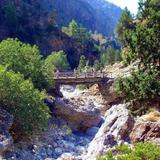 Samaria Gorge