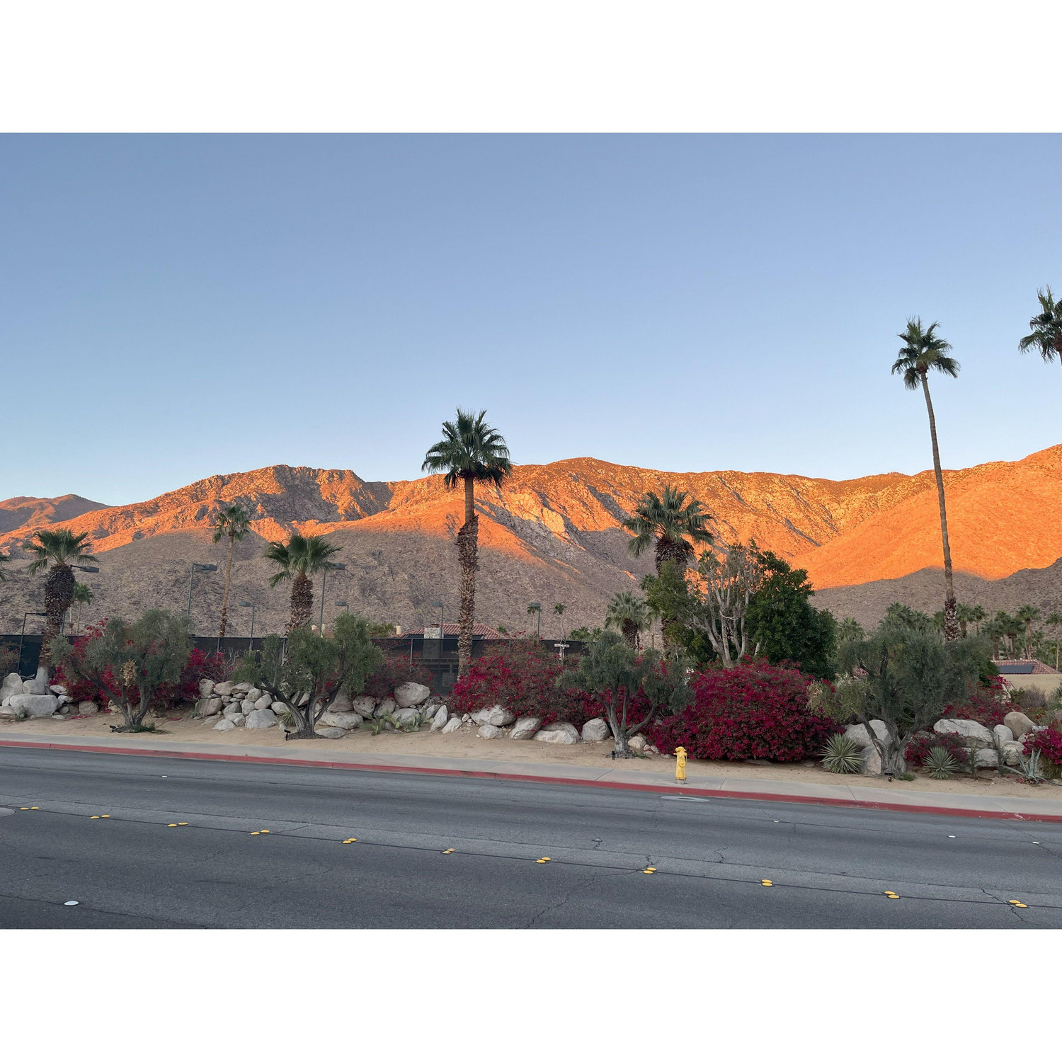 Early morning, Palm Springs