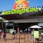 San Diego Zoo