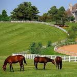 Visit Horse Country - Farm Tours