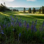 Pole Creek Golf Club