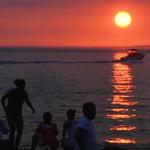 Catch the Sunset in Menemsha