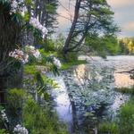 Bigelow Hollow State Park